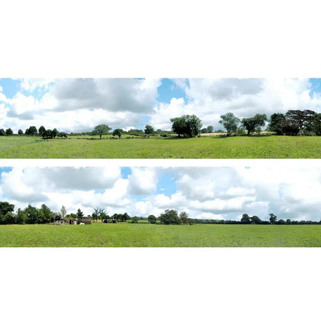 Backscenes Scenic Backgrounds - Into The Town