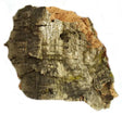 Javis Medium Cork Bark